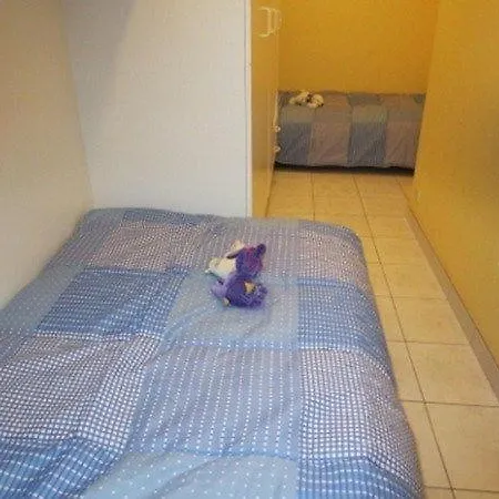 公寓 Seaview De Zandkorrel - - App 6 Personen Met Zeezicht Op Topligging *